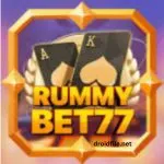 Rummy Bet77